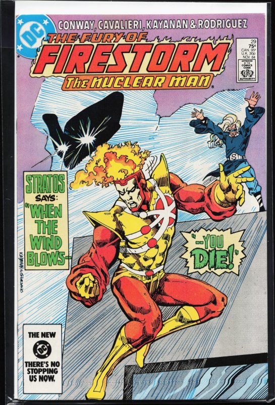 The Fury of Firestorm #29 (1984) Firestorm