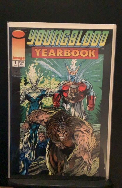 Youngblood Yearbook #1 (1993)