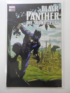 Black Panther: The Sound of Fury #1 Variant Cover Edition