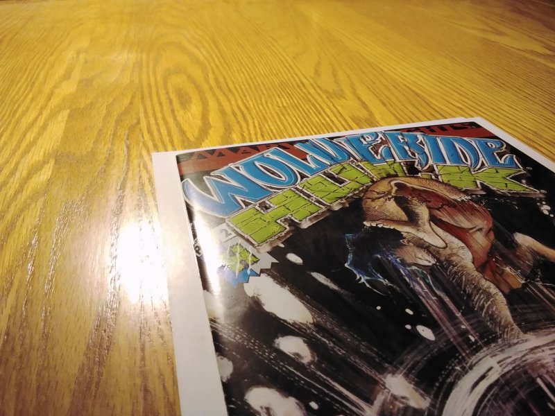 Wolverine/Hulk #2 (2002)