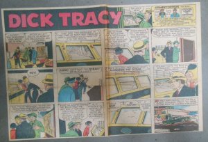 (51) Dick Tracy 1959 Sunday Pages by Chester Gould Near Complete! Size: 11 x 15