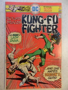 Richard Dragon, Kung Fu Fighter #5 (1976)