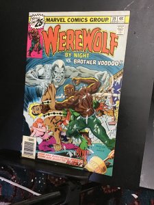 Werewolf by Night #39 (1976). High-grade brother voodoo! FVF Wow!