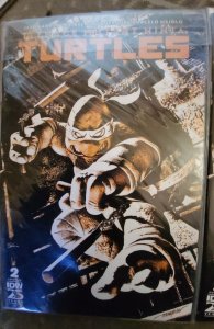 Teenage Mutant Ninja Turtles #2 set of 2 one signed