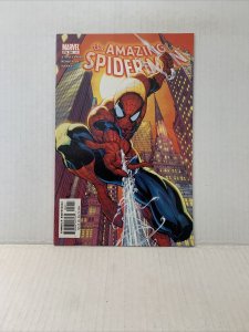 Amazing Spiderman #491