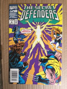 The Secret Defenders #2