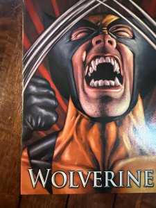 X-Men Origins: Wolverine (2009)