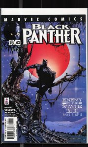 Black Panther #43 (2002) Black Panther
