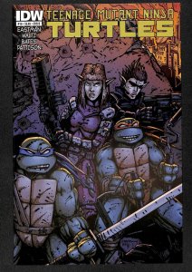 Teenage Mutant Ninja Turtles (2011) #19