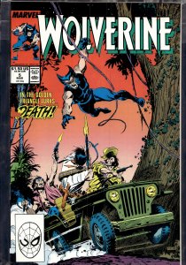 Wolverine #5 (1989) Wolverine