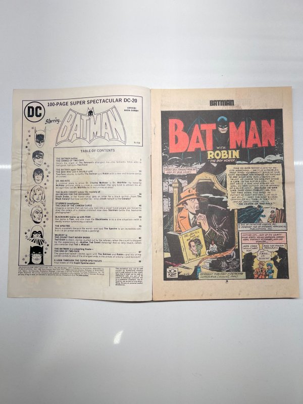 DC 100-Page Super Spectacular #20 (1973)