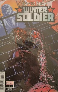 Devil's Reign: Winter Soldier Variant Cover (2022)