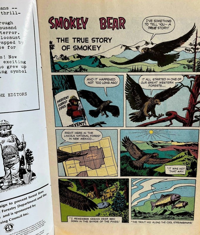 The True Story of Smokey Bear Vintage 1969 Comic Book Fair 