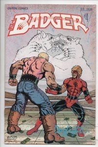 BADGER #4, NM-, Martial Arts, Crazy, Mike Baron, 1983 1984, more in store