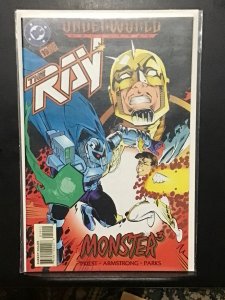 The Ray #19 (1995)