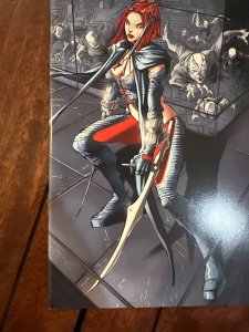 BloodRayne: Red Blood Run #1 (2007)