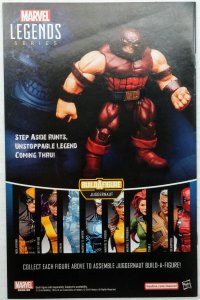 The Amazing Spider-Man #17 (NM, 2016)