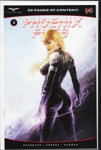 Phoenix Files #3 Cover D (2023)