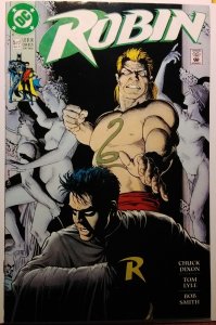 Robin #5 (1991)