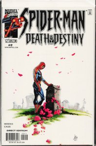 Spider-Man: Death and Destiny #2 (2000) Spider-Man