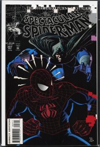 The Spectacular Spider-Man #207 (1993) Spider-Man