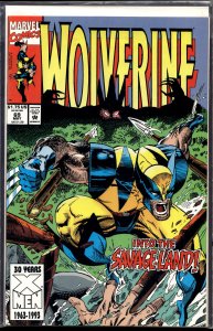 Wolverine #69 (1993) Wolverine