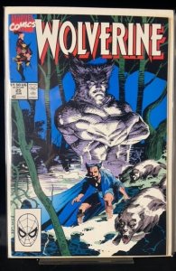Wolverine #25 (1990)