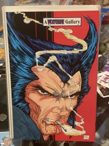 Wolverine #6  (1990) McFarlane Back cover