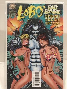 Lobo's Big Babe Spring Break Special (1995)