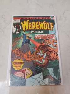 Werewolf by Night #28 (1975)