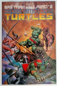 Teenage Mutant Ninja Turtles 33 Vol. 1