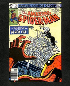 Amazing Spider-Man #205 Black Cat!