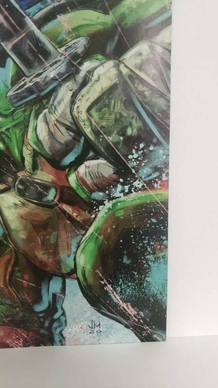 Teenage Mutant Ninja Turtles #114 1:10 Hervas Incentive Variant! IDW Comics 2021