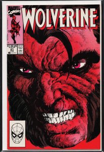 Wolverine #21 (1990) Wolverine