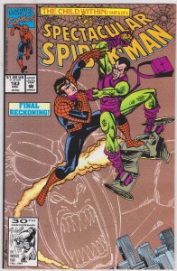 The Spectacular Spider-Man #183 (1991)