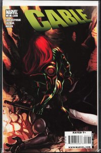 Cable #22 (2010) Cable