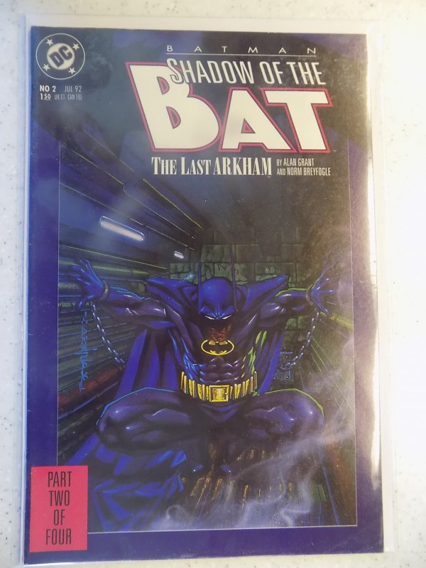 SHADOW OF THE BAT # 2