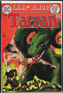 Edgar Rice Burroughs' Tarzan #228 (1974)