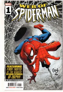 Web of Spider-Man (2024)