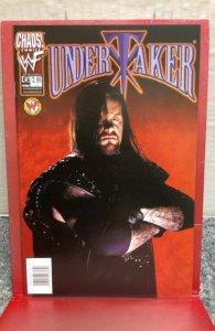 Undertaker #6 Variant Cover (1999)