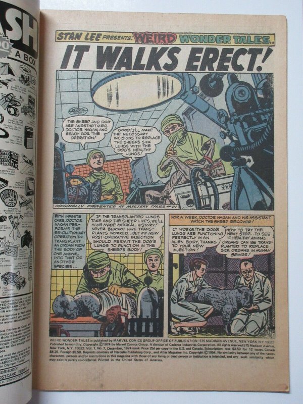 Weird Wonder Tales (Marvel Dec 1974) #7 Fine- Richard Doxee