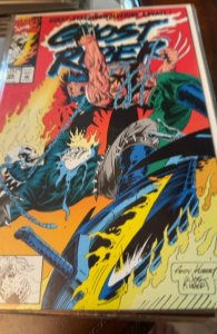 Ghost Rider #29 (1992) Ghost Rider 