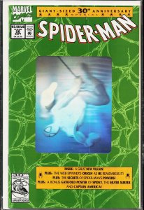 Spider-Man #26 (1992) Spider-Man