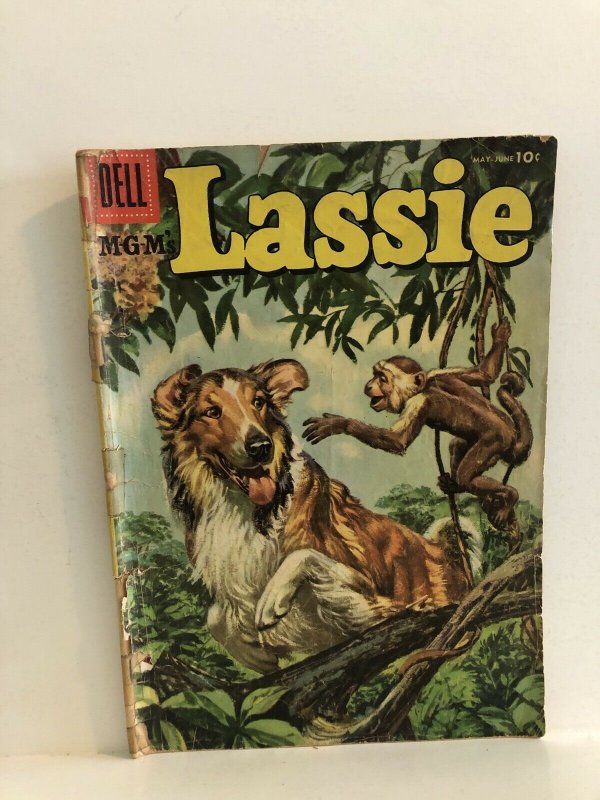 Lassie #28