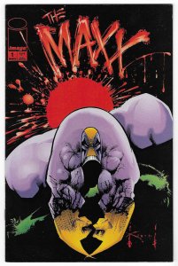 The Maxx: Maxximized #1 Variant Cover (2013)