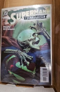 Superman: Birthright #10 (2004)