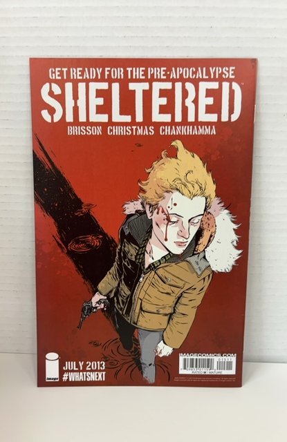 Thief of Thieves #15 (2013)