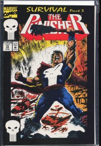 The Punisher #79 (1993) Punisher