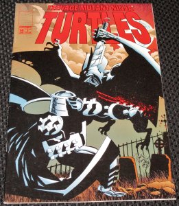 Teenage Mutant Ninja Turtles #14 (1998)
