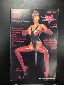 Porn Star Annual: Pictures 'N' Pinups (1995) must be 18